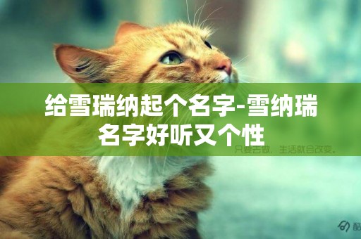 給雪瑞納起個名字-雪納瑞名字好聽又個性
