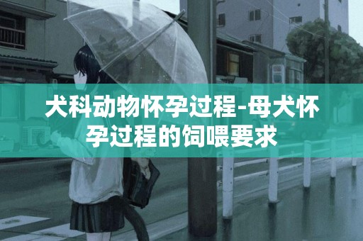 犬科動物懷孕過程-母犬懷孕過程的飼喂要求
