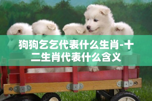 狗狗乞乞代表什么生肖-十二生肖代表什么含義