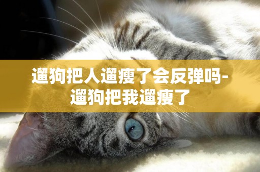 遛狗把人遛瘦了會反彈嗎-遛狗把我遛瘦了