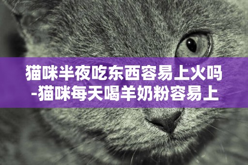 貓咪半夜吃東西容易上火嗎-貓咪每天喝羊奶粉容易上火嗎