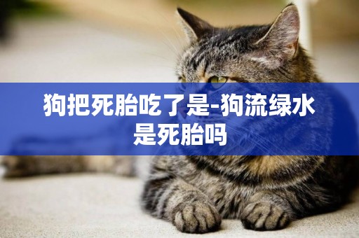 狗把死胎吃了是-狗流綠水是死胎嗎
