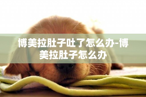 博美拉肚子吐了怎么辦-博美拉肚子怎么辦