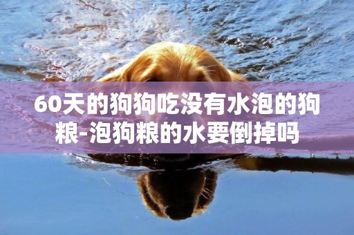 60天的狗狗吃沒有水泡的狗糧-泡狗糧的水要倒掉嗎