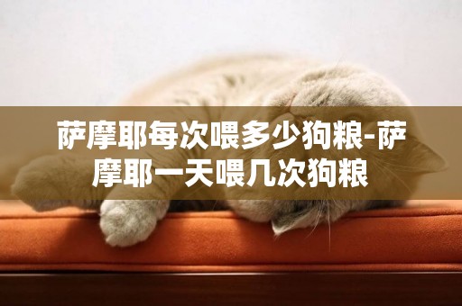 薩摩耶每次喂多少狗糧-薩摩耶一天喂幾次狗糧
