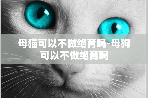母貓可以不做絕育嗎-母狗可以不做絕育嗎