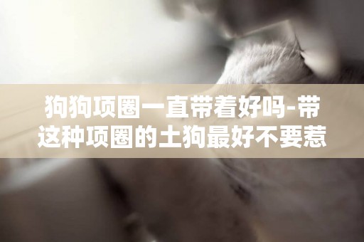狗狗項圈一直帶著好嗎-帶這種項圈的土狗最好不要惹