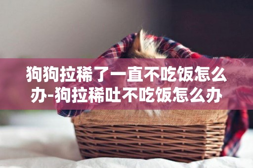 狗狗拉稀了一直不吃飯怎么辦-狗拉稀吐不吃飯怎么辦