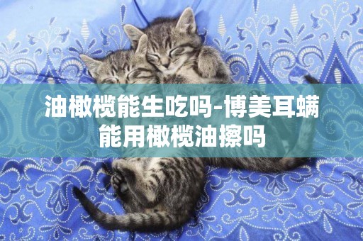 油橄欖能生吃嗎-博美耳螨能用橄欖油擦嗎