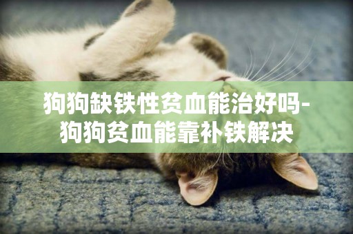 狗狗缺鐵性貧血能治好嗎-狗狗貧血能靠補鐵解決