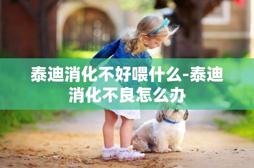 泰迪消化不好喂什么-泰迪消化不良怎么辦