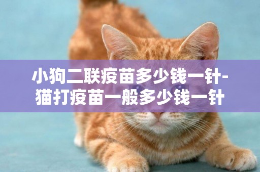 小狗二聯疫苗多少錢一針-貓打疫苗一般多少錢一針