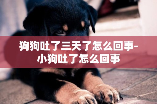 狗狗吐了三天了怎么回事-小狗吐了怎么回事