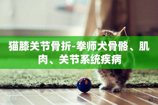 貓膝關節骨折-拳師犬骨骼、肌肉、關節系統疾病