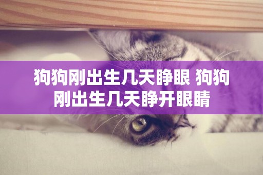 狗狗剛出生幾天睜眼 狗狗剛出生幾天睜開眼睛