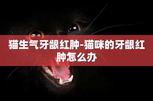 貓生氣牙齦紅腫-貓咪的牙齦紅腫怎么辦