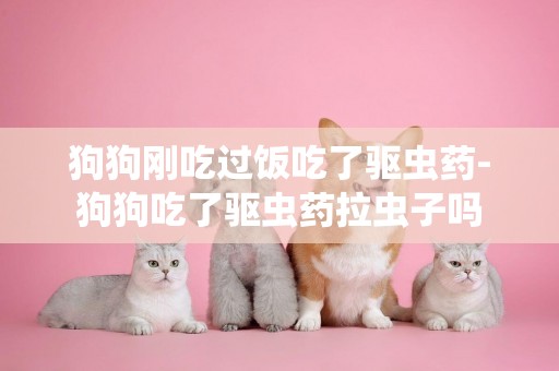 狗狗剛吃過飯吃了驅蟲藥-狗狗吃了驅蟲藥拉蟲子嗎