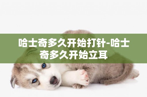哈士奇多久開始打針-哈士奇多久開始立耳