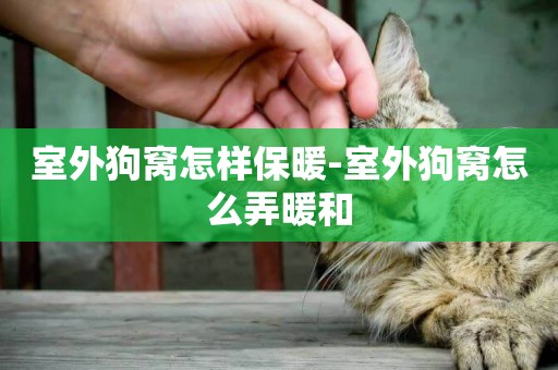室外狗窩怎樣保暖-室外狗窩怎么弄暖和