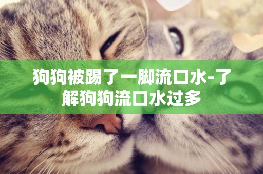 狗狗被踢了一腳流口水-了解狗狗流口水過多