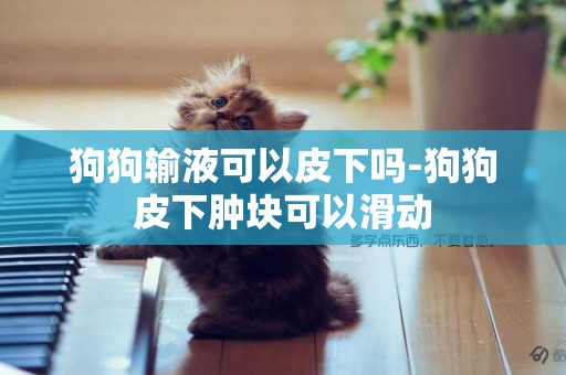 狗狗輸液可以皮下嗎-狗狗皮下腫塊可以滑動
