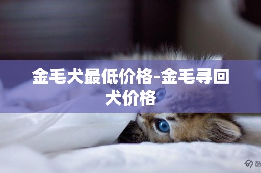 金毛犬最低價格-金毛尋回犬價格