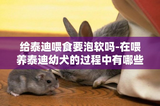 給泰迪喂食要泡軟嗎-在喂養泰迪幼犬的過程中有哪些需要注意的地方