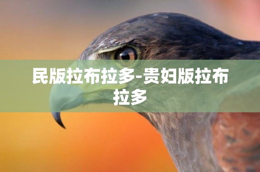 民版拉布拉多-貴婦版拉布拉多