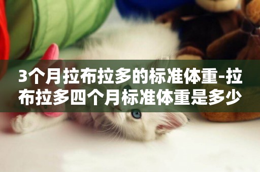 3個月拉布拉多的標準體重-拉布拉多四個月標準體重是多少
