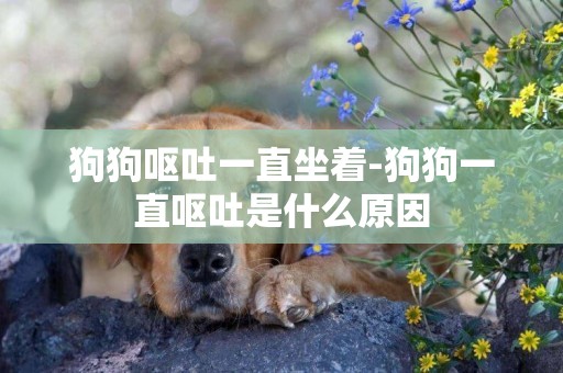 狗狗嘔吐一直坐著-狗狗一直嘔吐是什么原因