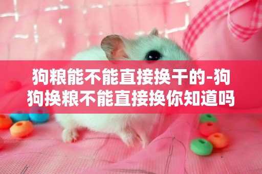 狗糧能不能直接換干的-狗狗換糧不能直接換你知道嗎
