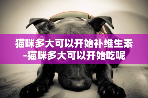貓咪多大可以開始補維生素-貓咪多大可以開始吃呢