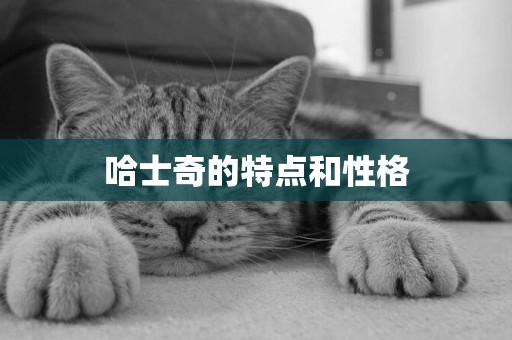 哈士奇的特點和性格