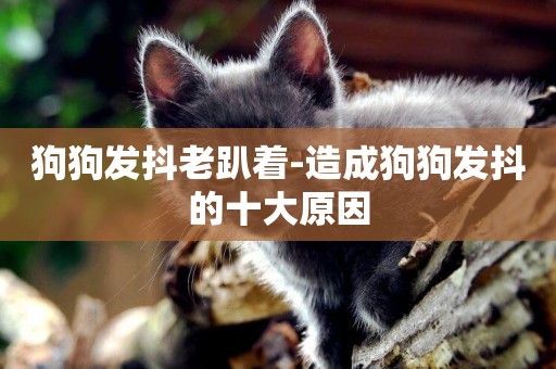 狗狗發抖老趴著-造成狗狗發抖的十大原因