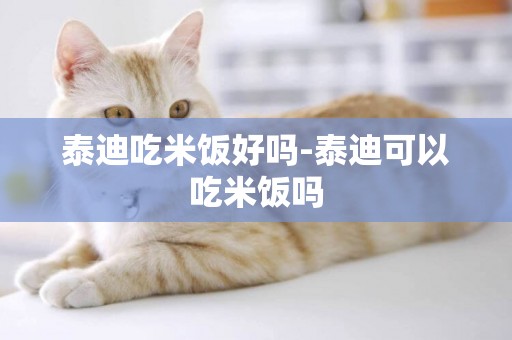 泰迪吃米飯好嗎-泰迪可以吃米飯嗎