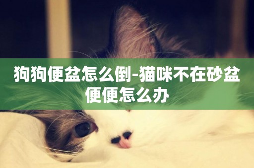 狗狗便盆怎么倒-貓咪不在砂盆便便怎么辦