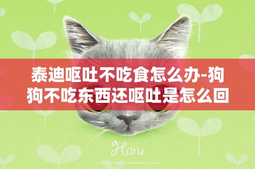 泰迪嘔吐不吃食怎么辦-狗狗不吃東西還嘔吐是怎么回事