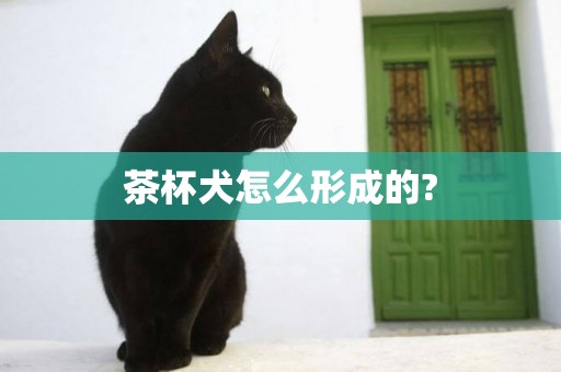 茶杯犬怎么形成的?