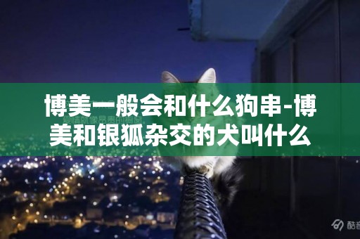 博美一般會和什么狗串-博美和銀狐雜交的犬叫什么