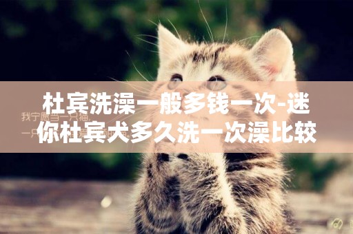 杜賓洗澡一般多錢一次-迷你杜賓犬多久洗一次澡比較好