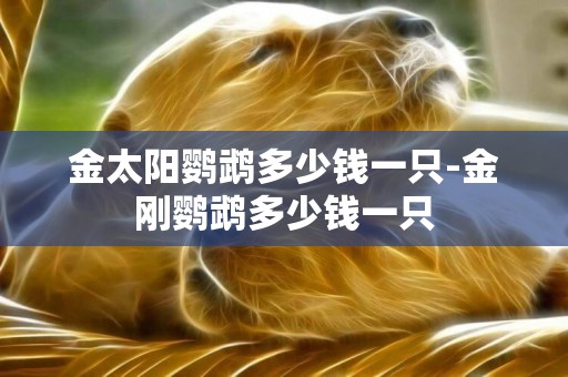 金太陽鸚鵡多少錢一只-金剛鸚鵡多少錢一只