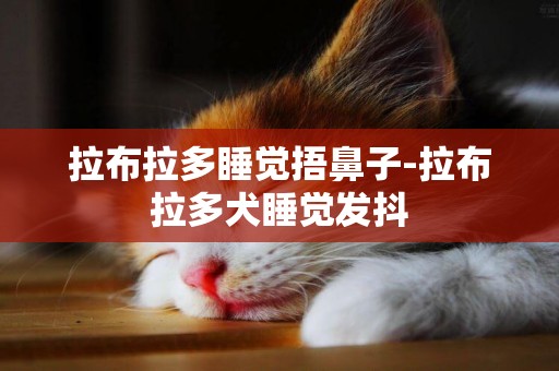 拉布拉多睡覺捂鼻子-拉布拉多犬睡覺發抖