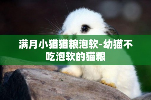 滿月小貓貓糧泡軟-幼貓不吃泡軟的貓糧