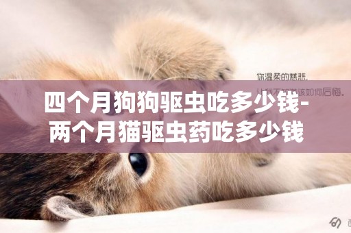 四個月狗狗驅蟲吃多少錢-兩個月貓驅蟲藥吃多少錢