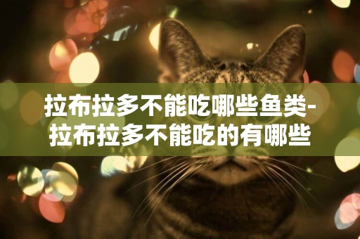 拉布拉多不能吃哪些魚類-拉布拉多不能吃的有哪些