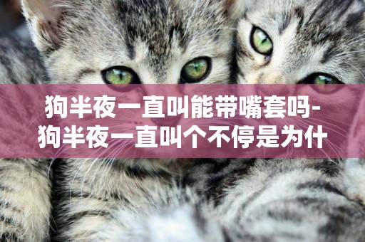 狗半夜一直叫能帶嘴套嗎-狗半夜一直叫個不停是為什么