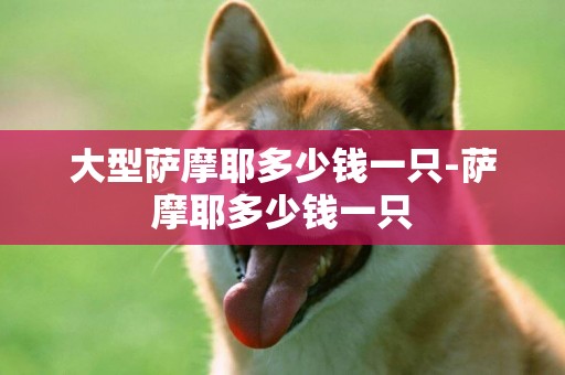 大型薩摩耶多少錢一只-薩摩耶多少錢一只