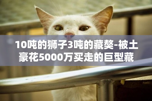 10噸的獅子3噸的藏獒-被土豪花5000萬買走的巨型藏獒怎么回事