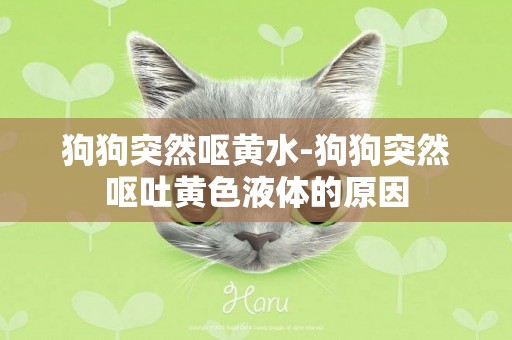 狗狗突然嘔黃水-狗狗突然嘔吐黃色液體的原因