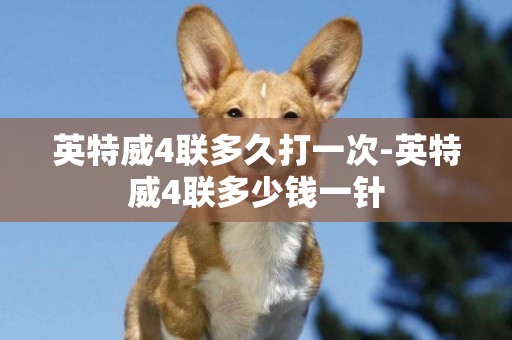 英特威4聯多久打一次-英特威4聯多少錢一針